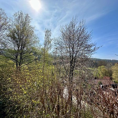 Natur Pur - Waldurlaub Im Tiny House Ronshausen Exteriér fotografie