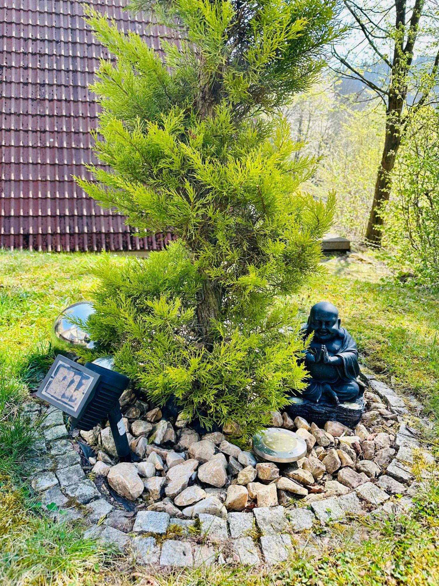 Natur Pur - Waldurlaub Im Tiny House Ronshausen Exteriér fotografie