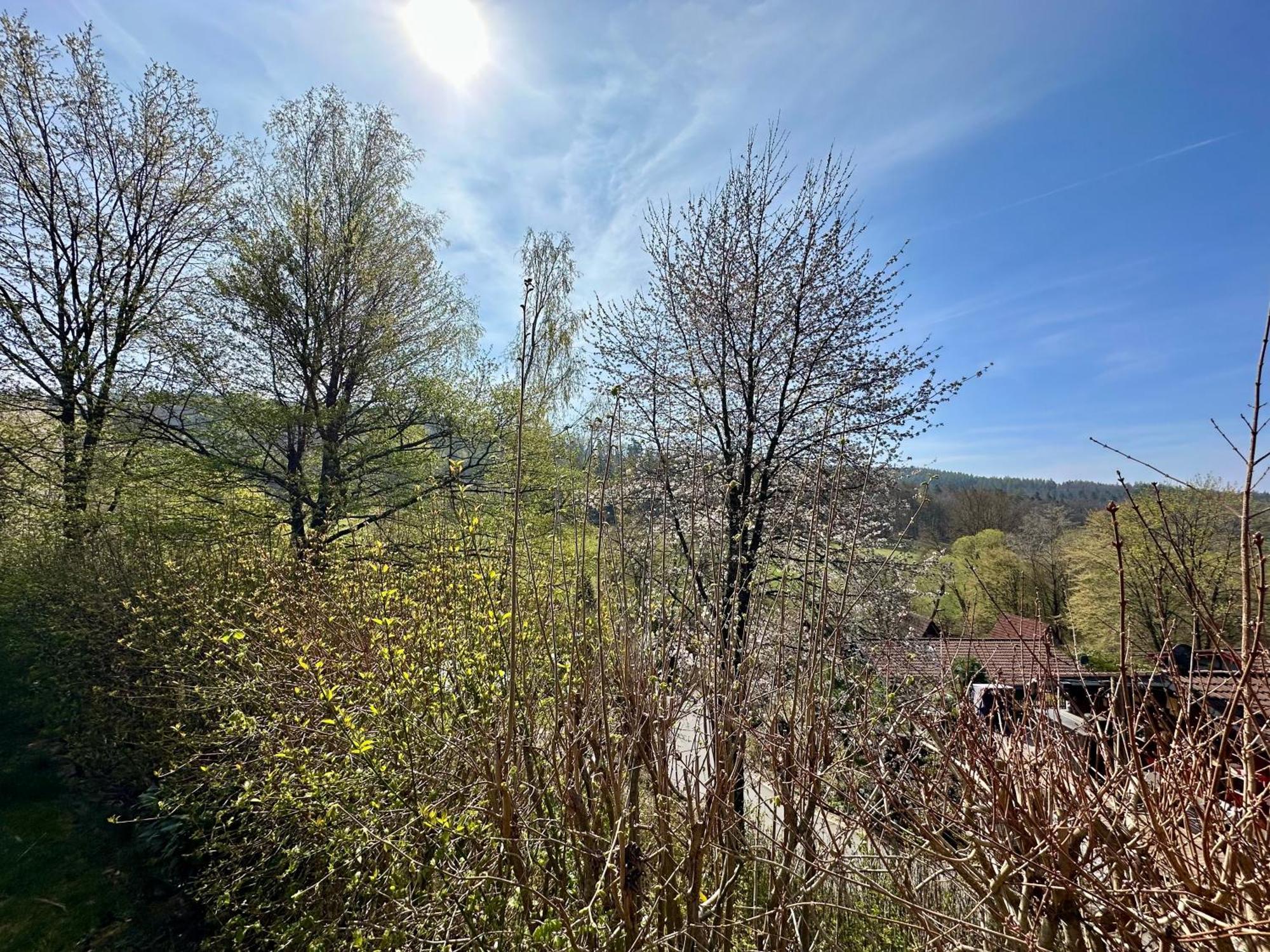 Natur Pur - Waldurlaub Im Tiny House Ronshausen Exteriér fotografie